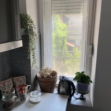 Pure Of Joy Centre * スボティツァ